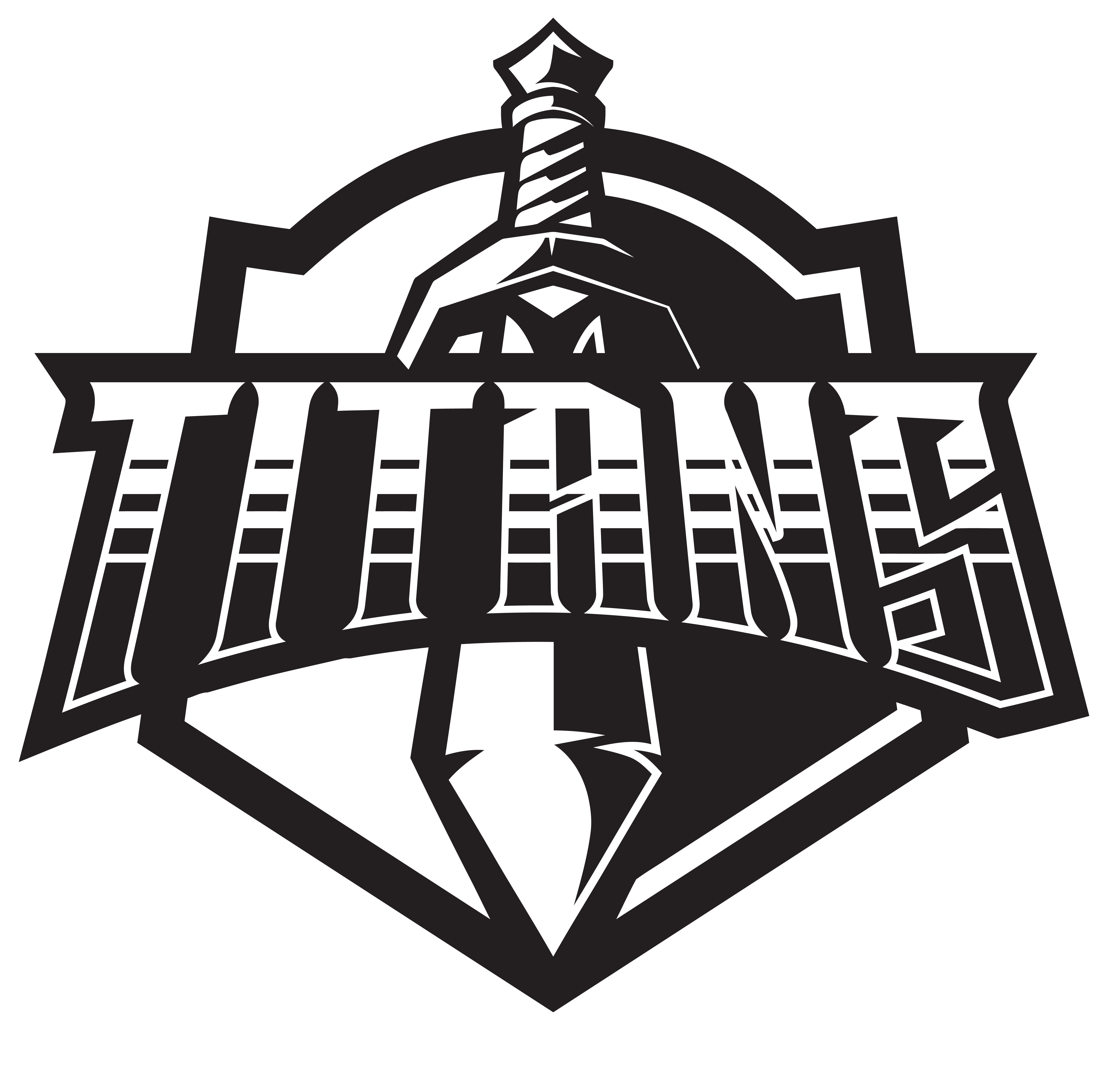 Team Logo